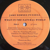 Jake Xerxes Fussell : What In The Natural World (LP, Album)