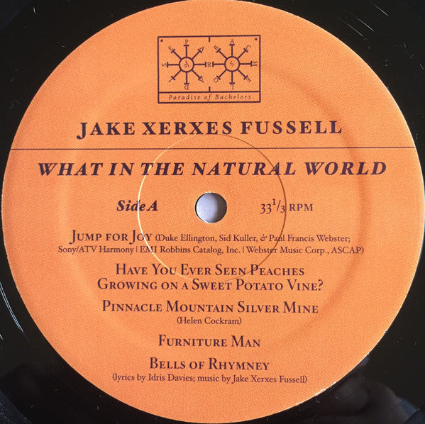 Jake Xerxes Fussell : What In The Natural World (LP, Album)