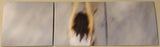 Yasmine Hamdan : Al Jamílat (CD, Album, Dig)