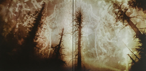 Wolves In The Throne Room : Celestial Lineage (2x12", Ltd, RE)