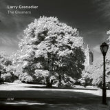 Larry Grenadier : The Gleaners (LP, Album)