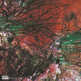 Zior : Zior (LP, Album, 180)