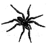 Various : Tarantismo : Odyssey Of An Italian Ritual (2xLP, Comp + Box, S/Edition)