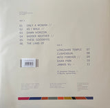 Matthew Halsall & The Gondwana Orchestra : Into Forever (LP, Album, RE, Opt)