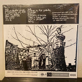 Spike In Vain : Disease Is Relative (LP, Ltd, RE, Gra)