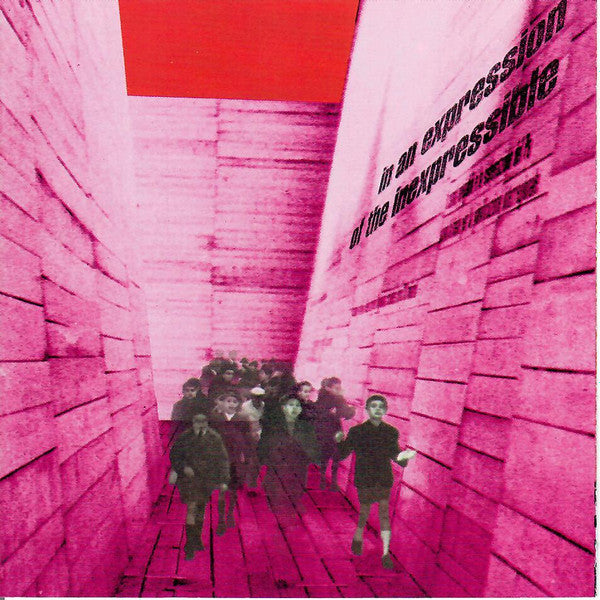 Blonde Redhead : In An Expression Of The Inexpressible (CD, Album, RE)