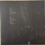 Këkht Aräkh : Pale Swordsman (LP, Album, RE, Sil)