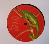 Ozric Tentacles : Become The Other (LP, Album, RE, RM)