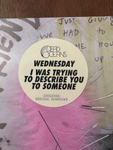 Wednesday (10) : I Was Trying To Describe You To Someone (LP, Album, RE)