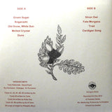 Kikagaku Moyo : House In The Tall Grass (LP, Album, RP)