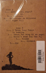 Indian Summer : Giving Birth To Thunder (Cass, Comp)