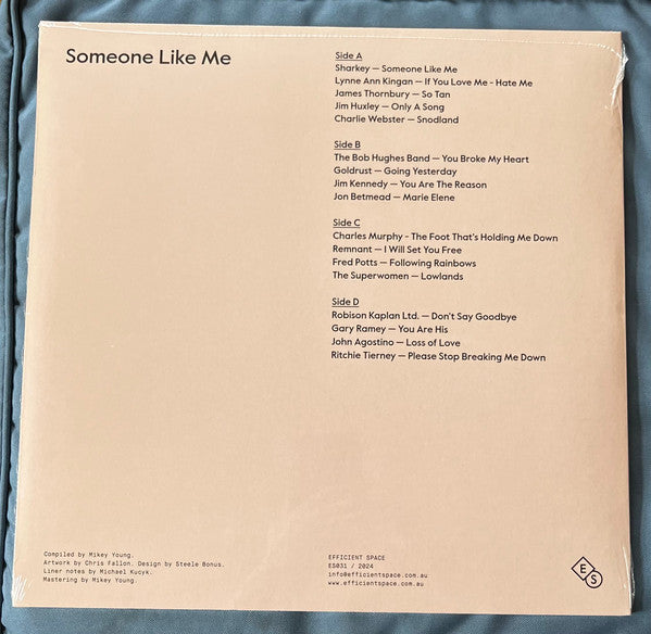 Various : Someone Like Me (2xLP, Comp)