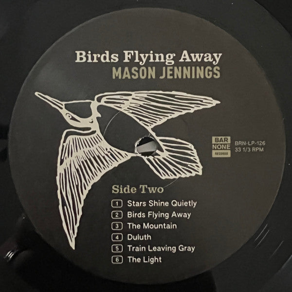 Mason Jennings : Birds Flying Away (LP)