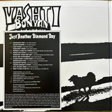 Vashti Bunyan : Just Another Diamond Day (LP, Album, RE)