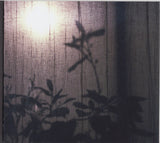 Beirut : A Study Of Losses (CD, Album)