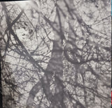 Grouper : Way Their Crept (LP, Album, RE)