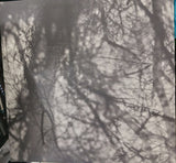 Grouper : Way Their Crept (LP, Album, RE)