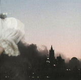 William Basinski : The Disintegration Loops (Arcadia Archive Edition) (4xCD, Comp, RE, RM)