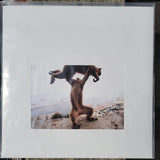 Shellac : Dude Incredible (LP, Album, RE)