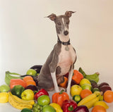 Shellac : Excellent Italian Greyhound (LP, Album, RE, RP)