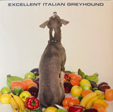 Shellac : Excellent Italian Greyhound (LP, Album, RE, RP)