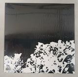 Songs: Ohia : Didn't It Rain (LP, Album, RE, Eco)