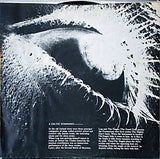 Horslips : The Book Of Invasions (A Celtic Symphony) (LP, Album)