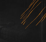 Isis (6) : Temporal (2xCD + DVD-V, NTSC + Comp)