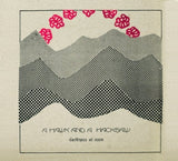 A Hawk And A Hacksaw : Darkness At Noon (CD, Album)