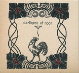 A Hawk And A Hacksaw : Darkness At Noon (CD, Album)