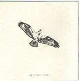 JJ Grey & Mofro : This River (CD, Album)