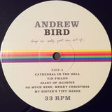 Andrew Bird : Things Are Really Great Here, Sort Of... (LP, Album)