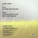 Andrew Bird : Weather Systems (LP, Album)