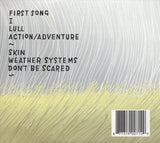 Andrew Bird : Weather Systems (CD, Album, RE)