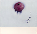 Damon & Naomi : Fortune (CD, Album)