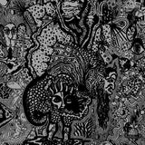 Arzachel : Arzachel (LP, Album, Ltd, RE, RP, Whi)