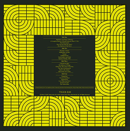 Momus : Pubic Intellectual - An Anthology (2xLP, Comp, Ltd, RM, 180)