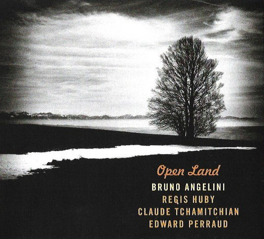 Bruno Angelini : Open Land (CD, Album)