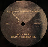 Aria Rostami & Daniel Blomquist : Distant Companion (LP, Album)