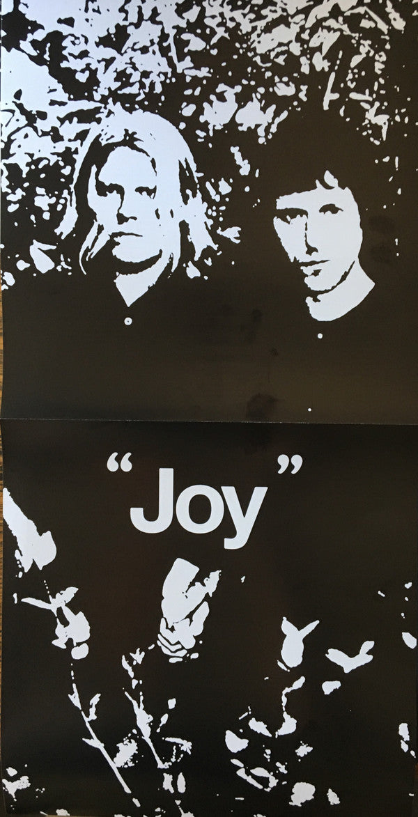 Ty Segall & White Fence : "Joy" (LP, Album)