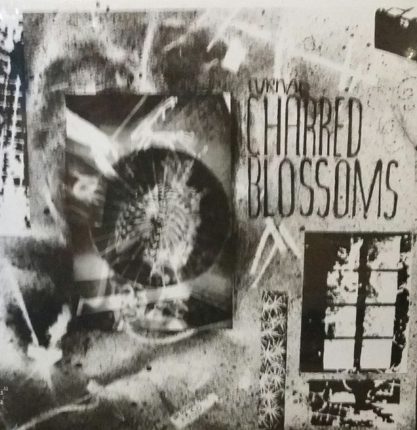 Cyrnai : Charred Blossoms  (LP, Album, RE, RM)
