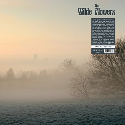 Wilde Flowers : The Wilde Flowers (LP, Album, RE, RM, 180)