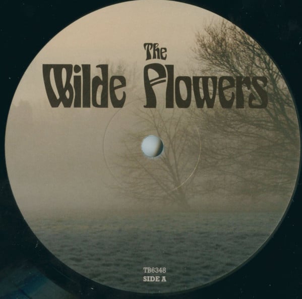 Wilde Flowers : The Wilde Flowers (LP, Album, RE, RM, 180)