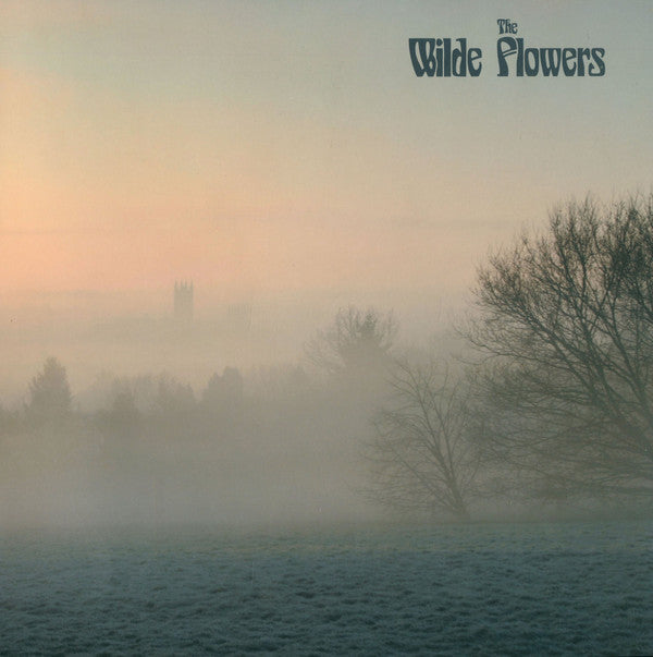 Wilde Flowers : The Wilde Flowers (LP, Album, RE, RM, 180)