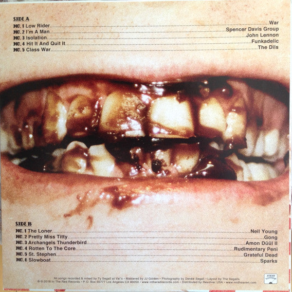 Ty Segall : Fudge Sandwich  (LP, Album)