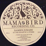 Damien Jurado : In The Shape Of  A Storm (LP, Album)