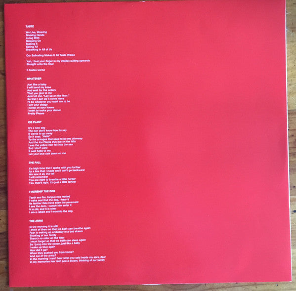 Ty Segall : First Taste (LP, Album)