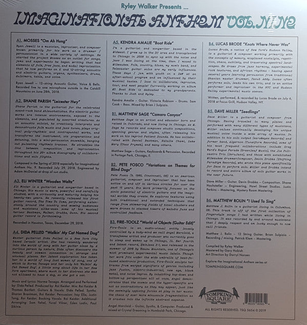 Various : Ryley Walker Presents... Imaginational Anthem Volume Nine (LP, Comp)