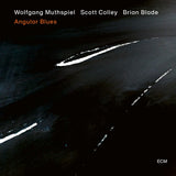 Wolfgang Muthspiel, Scott Colley, Brian Blade : Angular Blues (CD, Album)
