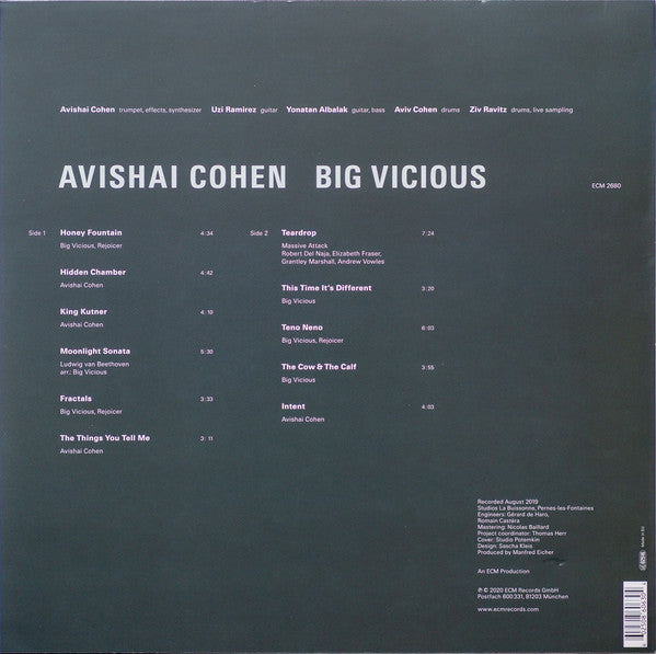 Avishai E. Cohen, Big Vicious : Big Vicious (LP, Album)